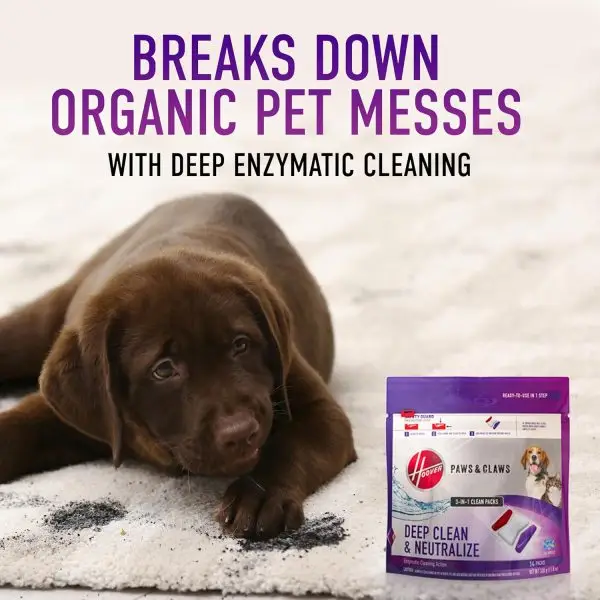 Big Summer Sale Limited Time Offer AED 99د.إ:Hoover SmartWash Pet Automatic Carpet Cleaner Machine with Spot Chaser Wand, Deep Cleaning Carpet Shampooer Machine, Pair with a... - Image 5